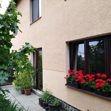 Ubytovani Bludov U Lazni Buitenkant foto