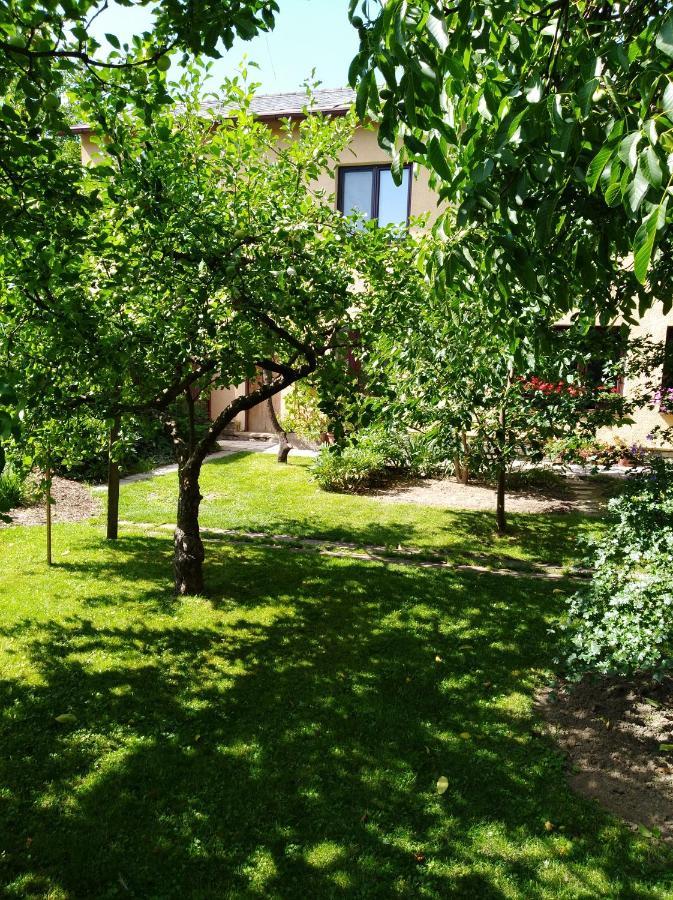 Ubytovani Bludov U Lazni Buitenkant foto
