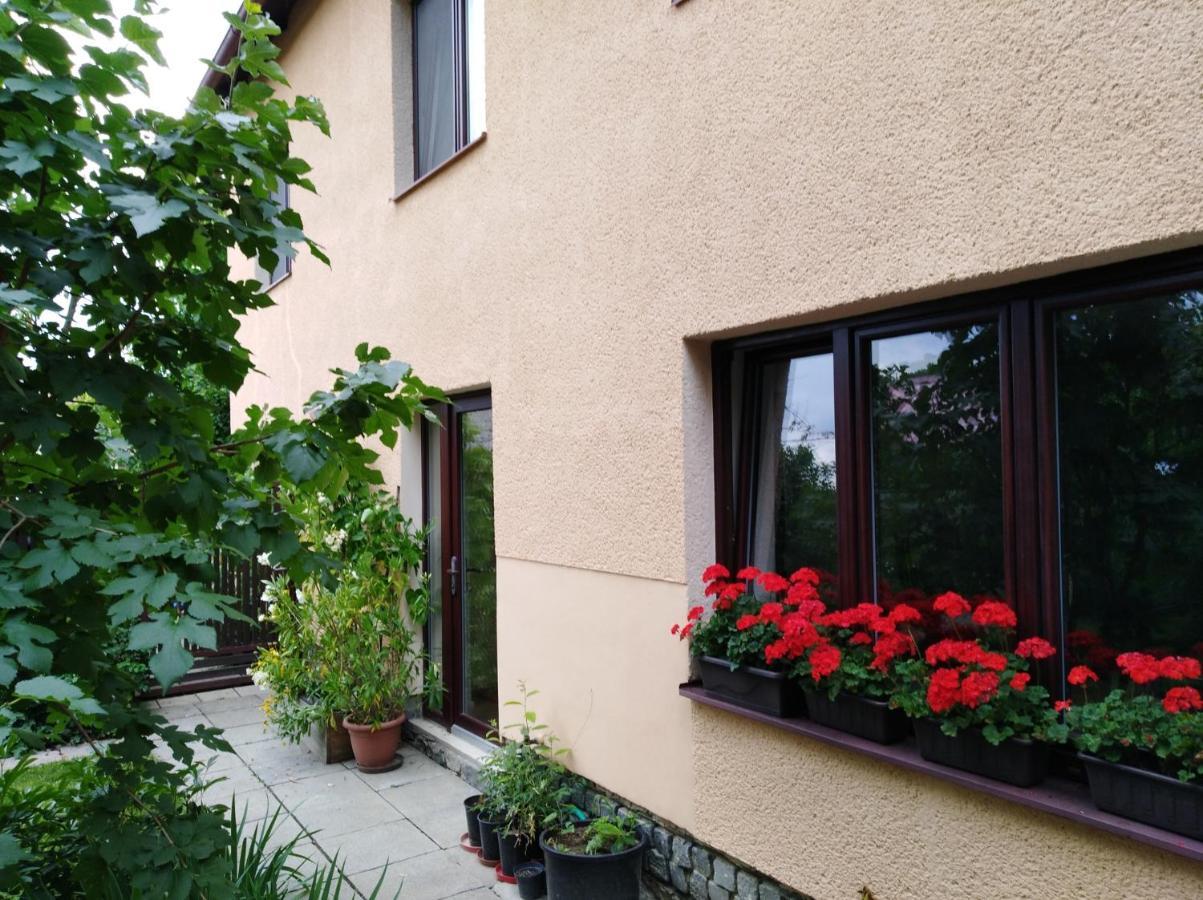 Ubytovani Bludov U Lazni Buitenkant foto